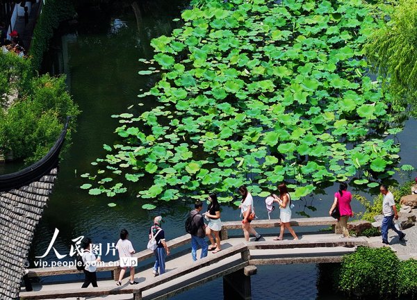AG真人国际(中国)官方网站 江苏苏州：拙政园夏荷叠翠享爽气