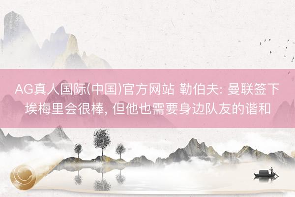 AG真人国际(中国)官方网站 勒伯夫: 曼联签下埃梅里会很棒， 但他也需要身边队友的谐和