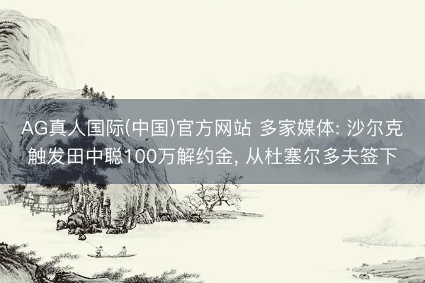 AG真人国际(中国)官方网站 多家媒体: 沙尔克触发田中聪100万解约金， 从杜塞尔多夫签下