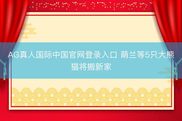 AG真人国际中国官网登录入口 萌兰等5只大熊猫将搬新家