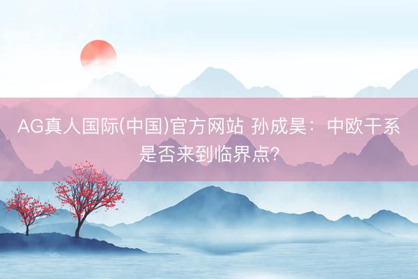 AG真人国际(中国)官方网站 孙成昊：中欧干系是否来到临界点？