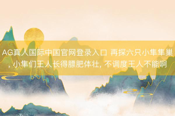 AG真人国际中国官网登录入口 再探六只小隼隼巢， 小隼们王人长得膘肥体壮， 不调度王人不能啊